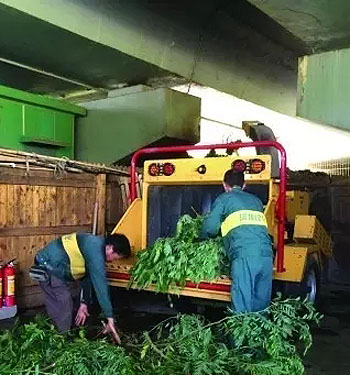 果蔬垃圾如何變身有機(jī)肥料?